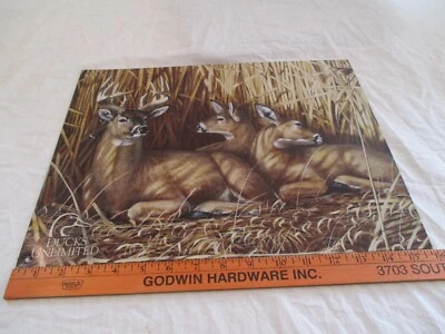 Letrero de metal de caza ilimitado de patos de colección "escondite" barra de pared garaje decoración clásico Foto 1 de 4