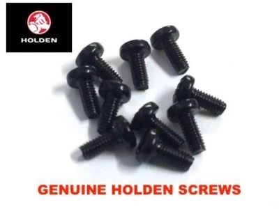 Genuine HOLDEN Remote Key Head Screws 10 Pack For Commodore VR VS VT VX VY VZ - Image 1 of 3