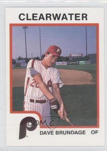 1987 ProCards Minor League Dave Brundage #1540