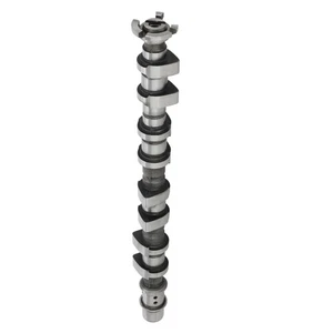 1* Camshaft Albero A Camme For Chevrolet Aveo 1.6l L4 2009 55561748 CP1695 - Picture 1 of 12