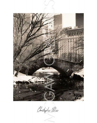 Central Park Bridges 4 New York, Chris Bliss, Wall Decor Art Print 14" x 11" - Image 1 of 2