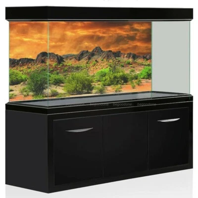 Desert View Cactus Reptile Habitat Background Poster Terrarium Snake Decorations