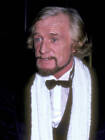 Richard Harris at the Electra Asylum Records' Party for Musi - 1981 Old Photo 1