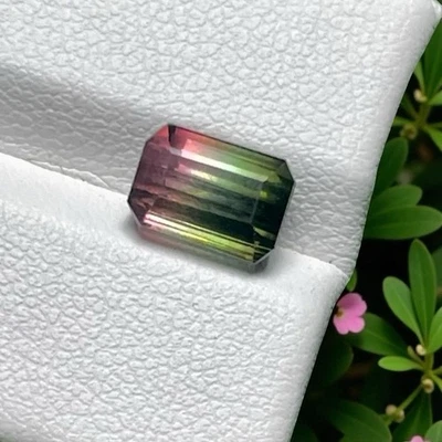 2.61CT Gorgeous 100% Natural Bi Color Tourmaline Loose Gemstone - Image 1 of 3