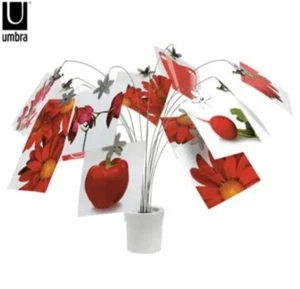 Umbra PETAL Photo Display Designed by Tom Vincent Stylish Interior Decoration - Picture 1 of 6