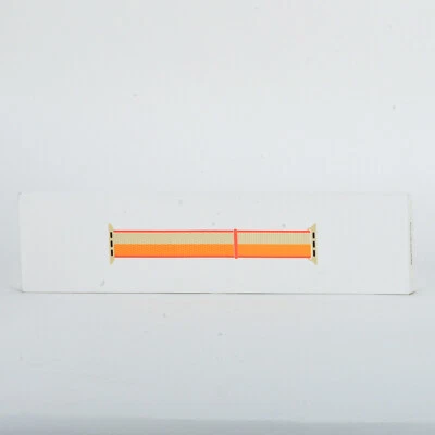 Подлинный ремешок для Apple Watch 38 мм 40 мм 41 мм 2 3 4 5 6 7 8 9 Ultra SE 42 мм 44 мм 45 мм - Изображение 1 из 3