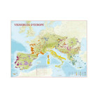 Vineyards of Europe wall / poster map wine regions