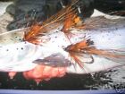 3 V Fly Size 9 Copper Cascade Shrimp Salar Double Salmon Flies
