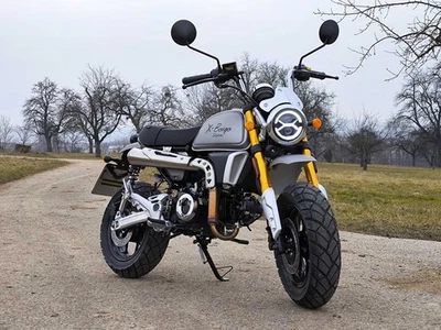 Skyteam X-BONGO 125ccm ABS Gold ABS fürHonda MSX Euro 5+ - Bild 1 von 4