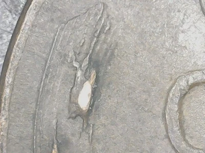 1953 Lincoln Cent/Wheat Penny, BN, (2), Cracked Die Reverse - Image 1 of 4