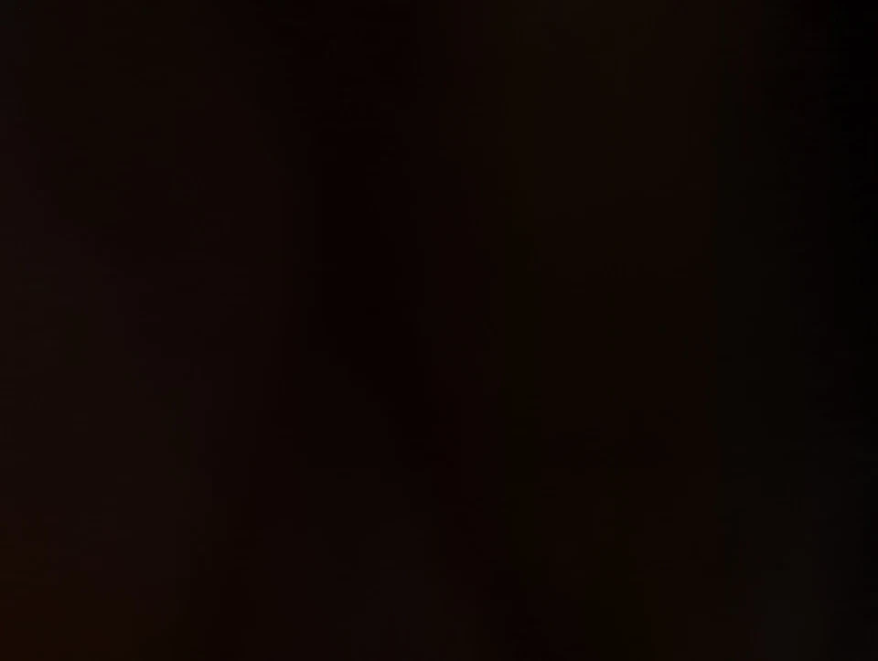 1995-2001 Dodge Ram 1500 Trunk/decklid/hatch/tailgate Oem J9MKZ Foto 1 de 1