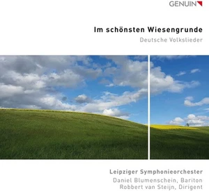 Daniel Blumenschein Im Schönsten Wiesengrunde: Deutsche Volkslieder (CD) Album - Bild 1 von 1