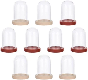 10 Set Mini Campana Di Vetro Trasparente Con Base in Legno, Teca per Centrotavol - Foto 1 di 12