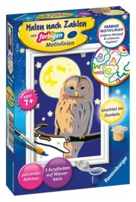 Ravensburger Malen nach Zahlen Classic Serie F Nachteule 28772 - Bild 1 von 2