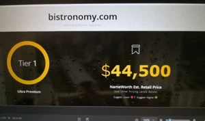 BISTRONOMY.COM - 15 year old ULTRA PREMIUM domain name. TIER 1. - Picture 1 of 1
