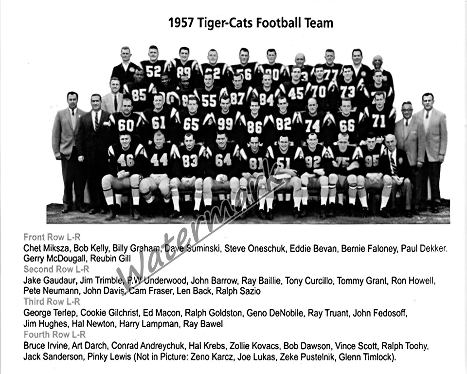Imagen del equipo Hamilton Tiger Cats CFL 1957 en blanco y negro 8 X 10 foto Foto 1 de 1