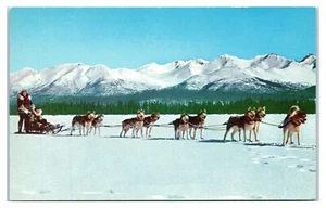 Husky Hundeschlitten Team in Nordalaska Postkarte - Bild 1 von 2