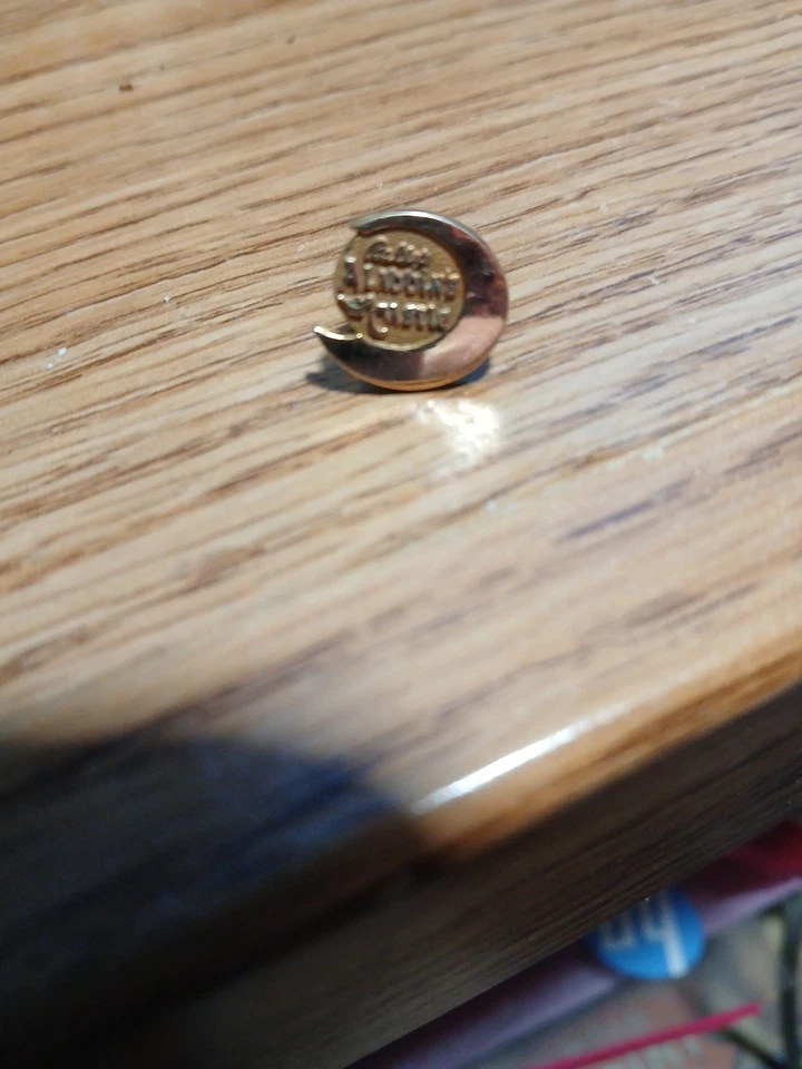 Pin de corbata dorada Castillo de Aladino, dado por 5 años de servicio. Muy raro Foto 1 de 4