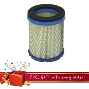 Cummins Onan 140-3295, OEM Generator Air Filter - Picture 1 of 3