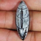 25.35 Cts 100% Natural Kuber Orthoceras Fossil Cabochon 13x38x7 mm Gemstone Ce08