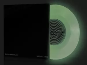 Metallica - Enter Sandman / Sad but True Glow in the Dark 7" Vinyl Single 12000 - Bild 1 von 2