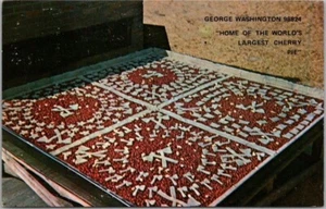 GEORGE, Washington Postkarte "Heimat des größten Kirschkuchens der Welt" 1975 Abbrechen - Bild 1 von 2