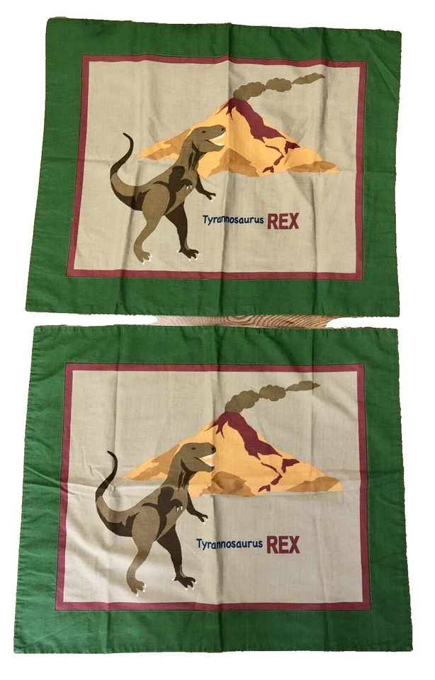 2 - Funda de almohada para niños Shams By Home Trends Tyrannosaurus Rex 31 X 26 dinosaurio Foto 1 de 4