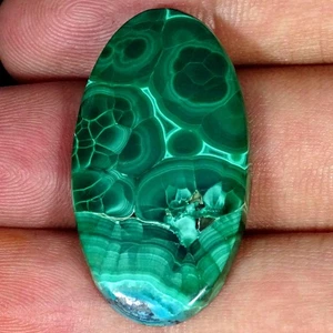 44.00 Cts Natural Green Malachite Bracelet Supply Oval Cabochon 19X36X5MM - Picture 1 of 6