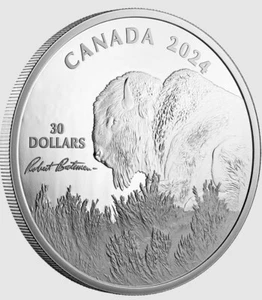 2024 Canada $30 Dollars. 2oz 99,99% Silver. Wheatear Watch Bison Robert.  - Picture 1 of 4