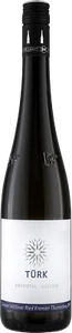 6 BOTTLES gruner veltliner RIED THURNERBERG 2020 WEINGUT TURK - Imagen 1 de 1
