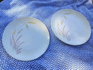 Vintage PAIR Melmac Somerset Lifetime Ware Dinner Plates Gold Wheat SET Of 2 - Picture 1 of 14