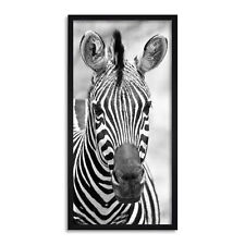 Zebra Tier schwarz weiß Foto lang gerahmte Wandkunst 25X12 Zoll