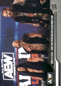 B6204- 2024 Upper Deck AEW Card #s 1-100 +Inserts -You Pick- 15+ FREE US SHIP - Picture 1 of 225
