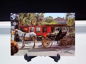 Foto de carruaje turístico de Nueva Orleans del cuarto francés de John Lewis - Imagen 1 de 2