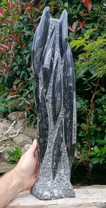 X Large Freestanding Orthoceras Fossil Tower Sculpture 53cm 7.8kg - Picture 1 of 13