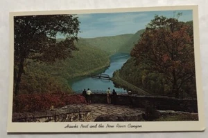 Hawks Nest & The New River Canyon. Postcard (Y1) - Picture 1 of 2