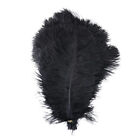 Ostrich Feather Natural Plume for Wedding Party Decoration Craft Feather 25-30cm