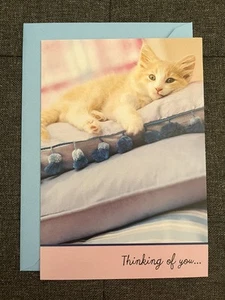 Hallmark Greeting Card Thinking Of You Get Well Soon Cute Cat Adorable Kitten - Picture 1 of 7