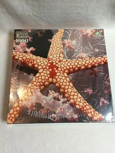Sierra Club Jigsaw Puzzle (1000 Pieces) - Candycane Starfish - Unopened - Picture 1 of 7