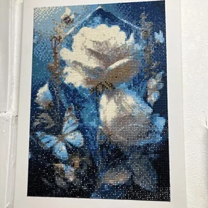 Diamond Painting with canvas - Picture 1 of 4