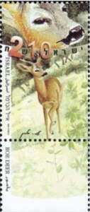 Israel #Mi1614 MNH 2001 Endangered Species Western Roe Deer [1437] - Picture 1 of 1