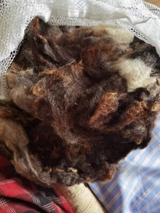 1kg Washed Jacob Lambs Wool - Brown/White for felting, carding, spinning, crafts - Picture 1 of 3