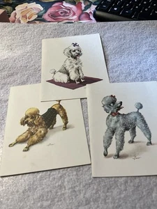3x Vintage Mid Century Poodle Unused Cards/notelets Retro Home Decor For Framing - Picture 1 of 5