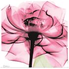 Affiche photo radiographie rose rose imprimé art, décoration d'intérieur rose