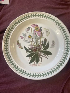 Portmeirion Jardín Botánico Navidad Rosa 10-1/2” Plato de Cena Nuevo - Imagen 1 de 4