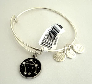 Alex and Ani Libra Charm Bracelet - Picture 1 of 7