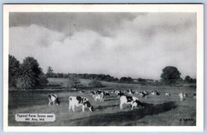 1960's MT MOUNT AIRY MARYLAND MD TYPICAL FARM SCENE COWS VINTAGE POSTCARD - Picture 1 of 2