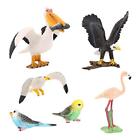 5x Mini Birds Animal Models Animal Toys Figurines Realistic Cake Toppers for
