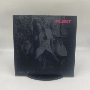 Flint Asteroids Pink Limited Edition Single-Sided 10" Vinyl Record EX/VG - Picture 1 of 11
