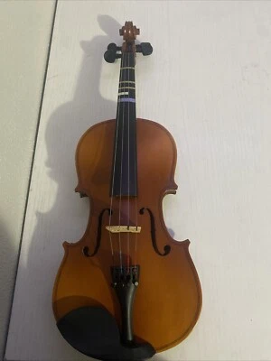Violín 4/4 tamaño completo con estuche ENVÍO RÁPIDO Foto 1 de 4
